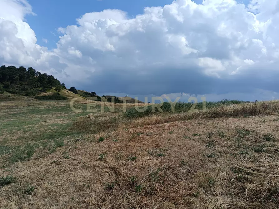Immagine 5 di Terreno edificabile in vendita  in Località Podere Scarpetta 90 a Radicofani