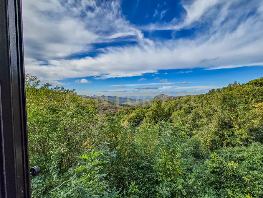 Immagine 12 di Rustico / casale in vendita  in la serra 57 a Arcidosso