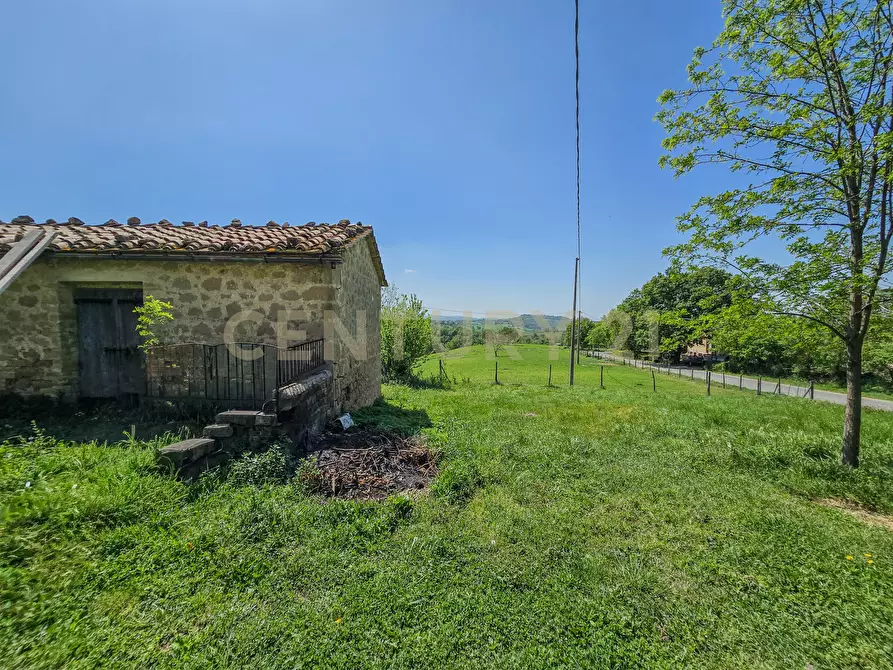 Immagine 23 di Casa indipendente in vendita  in località podere poggio sellino snc a Semproniano