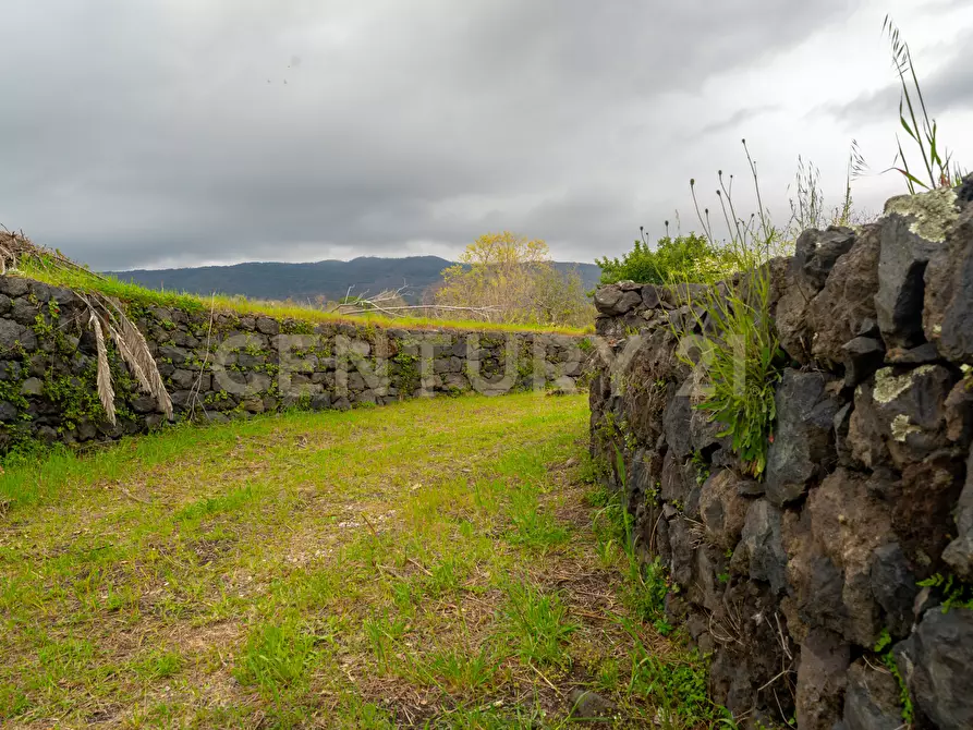 Immagine 10 di Casa indipendente in vendita  in Via Armando Diaz 83 a Zafferana Etnea