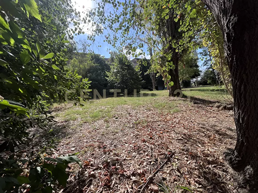 Immagine 9 di Trilocale in vendita  in Via Giuseppe Toniolo 13 a Grosseto