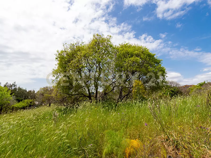 Immagine 12 di Terreno industriale in vendita  in Via dei Belfiore 4 a Valverde