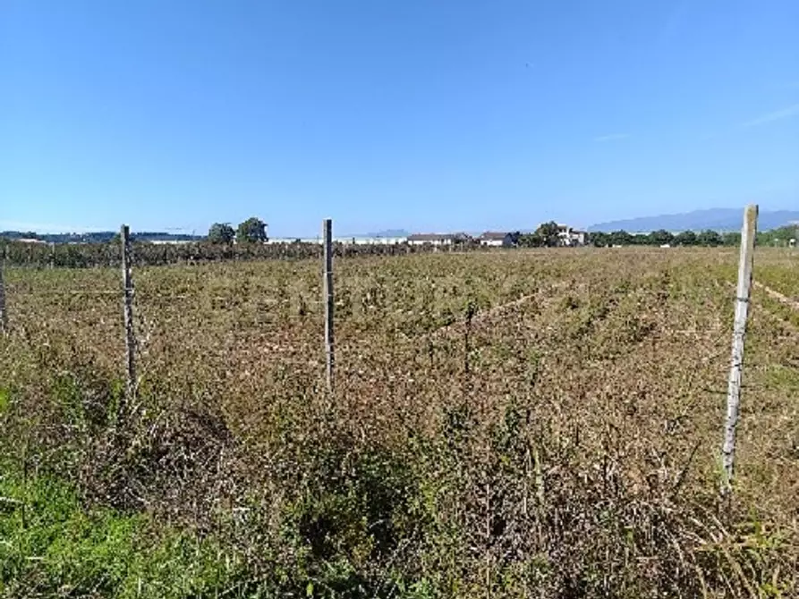 Immagine 5 di Terreno agricolo in vendita  in Via Siberie a Sommacampagna