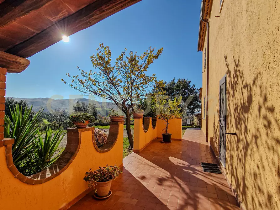 Immagine 20 di Rustico / casale in vendita  in Loc. Poderi di Montemerano a Manciano