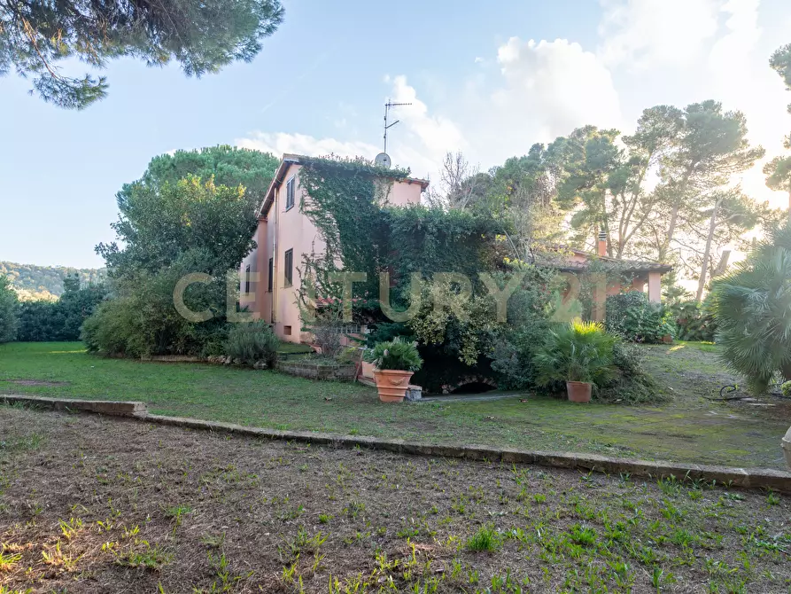 Immagine 26 di Villa in vendita  in Località Pian d'Alma a Castiglione Della Pescaia