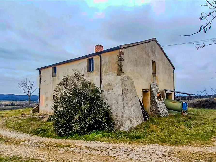 Immagine 3 di Rustico / casale in vendita  in località mandorlaie a Scansano