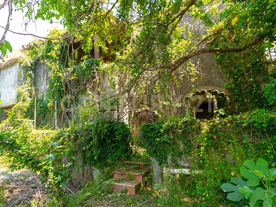 Immagine 31 di Rustico / casale in vendita  in Via Roccamena 84 a Acireale