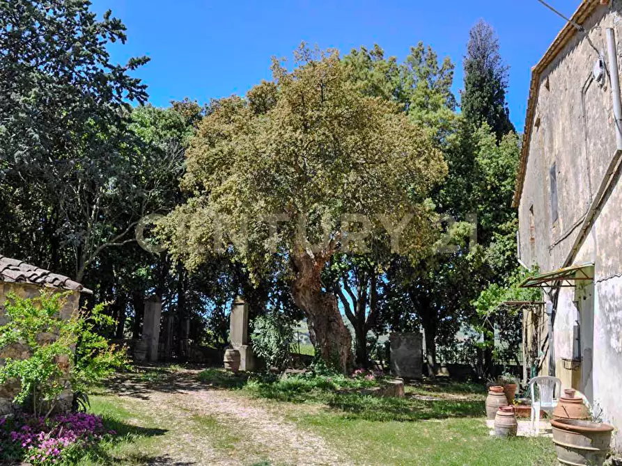 Immagine 20 di Rustico / casale in vendita  in Località Preselle sp 159 a Scansano