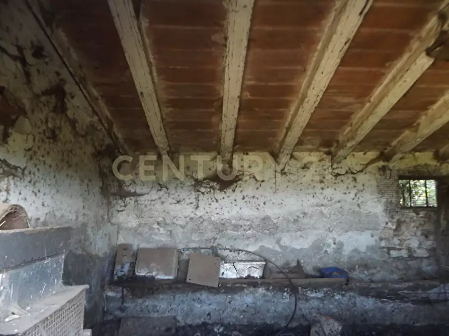 Immagine 5 di Rustico / casale in vendita  in LOCALITA CASETTE a Roccastrada