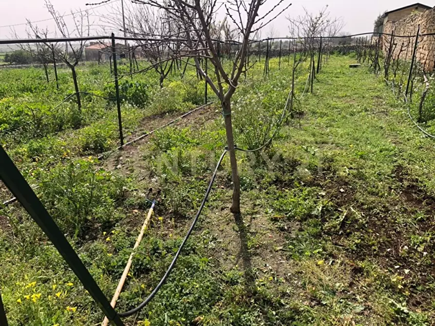 Immagine 12 di Villa in vendita  in Contrada Pirato Cava Maria 47 a Modica