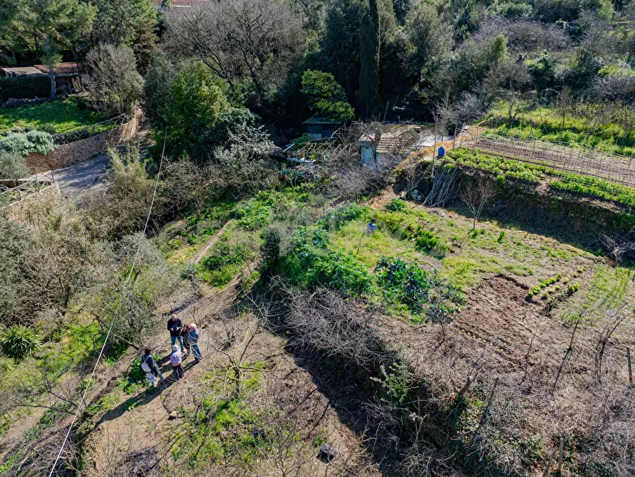 Immagine 19 di Rustico / casale in vendita  in Via del Campone 124 a Monte Argentario