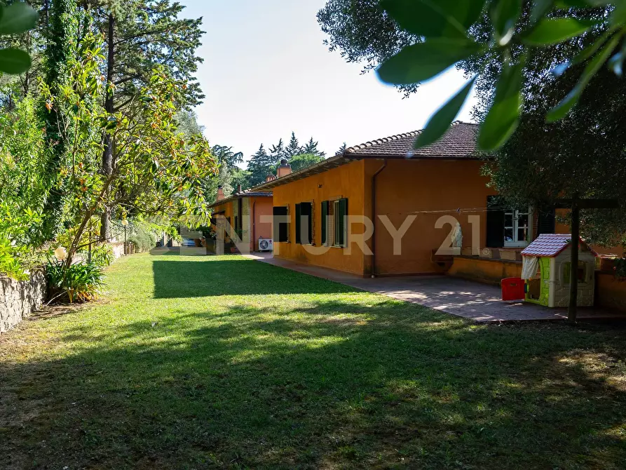 Immagine 9 di Rustico / casale in vendita  a Cinigiano