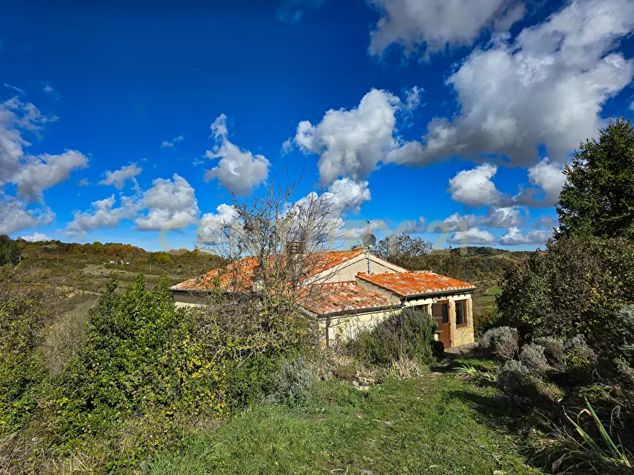 Immagine 3 di Rustico / casale in vendita  in monte labbro a Arcidosso