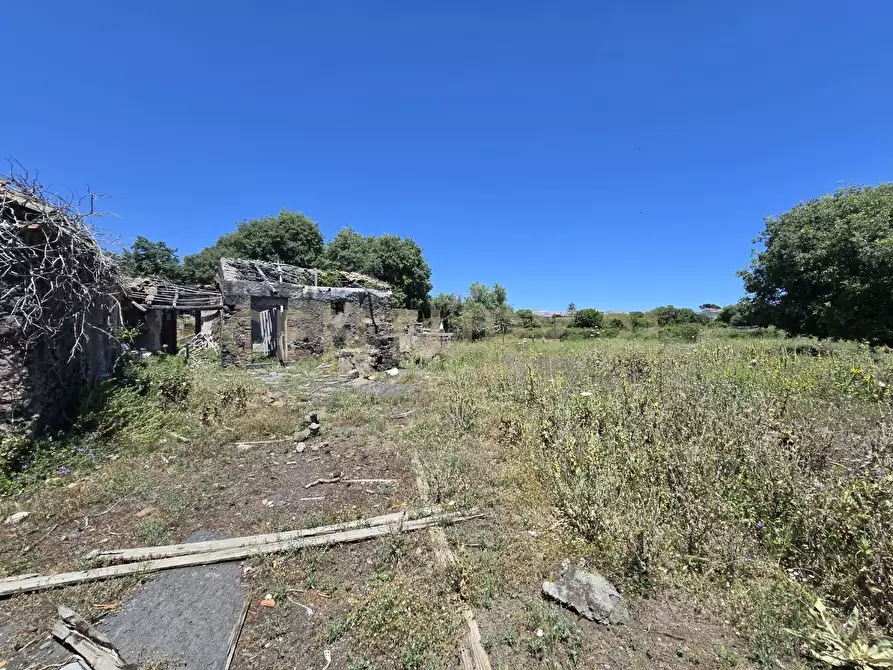 Immagine 3 di Terreno agricolo in vendita  in Vico Agatino De Marco a Gravina Di Catania