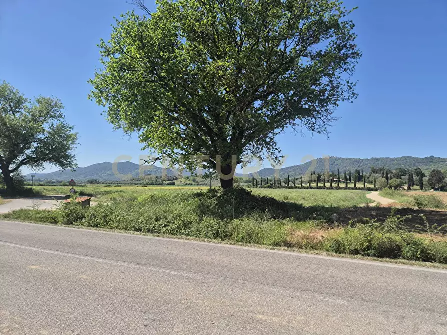 Immagine 17 di Terreno agricolo in vendita  in loc. Badia Vecchia a Castiglione Della Pescaia