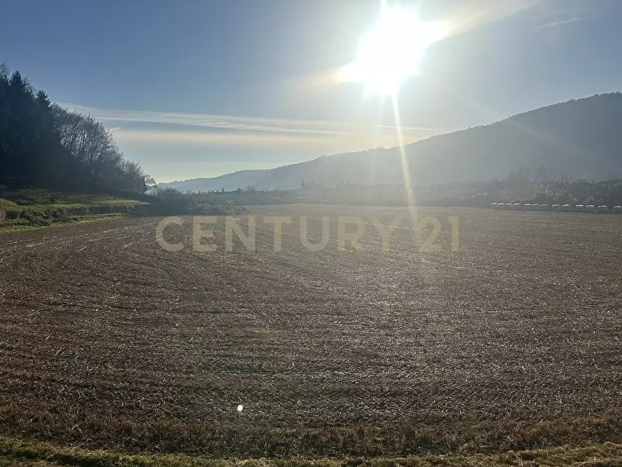 Immagine 17 di Terreno edificabile in vendita  in Via Don Giovanni Calabria a Tregnago