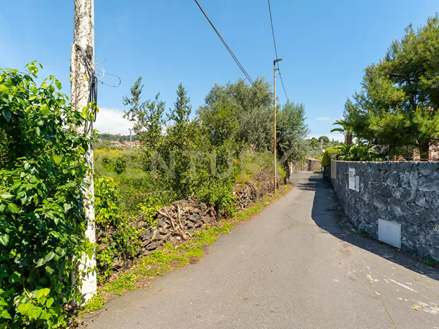 Immagine 19 di Villa in vendita  in Via Nino Martoglio S.N. a Aci Castello