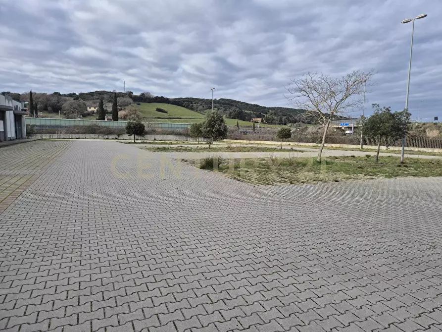 Immagine 21 di Locale commerciale in vendita  in Cerro Sughero a Campagnatico