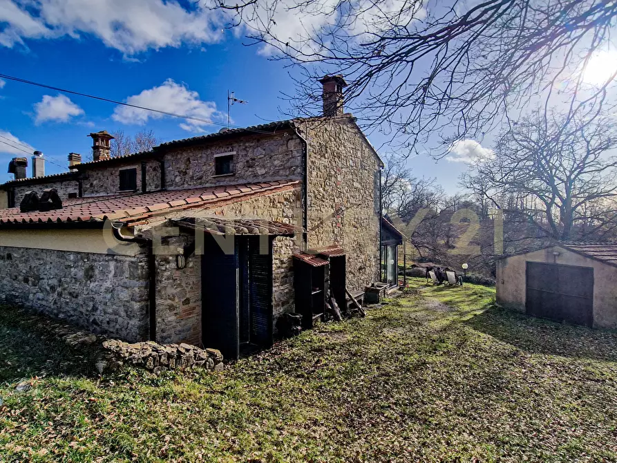 Immagine 35 di Terratetto in vendita  in Località Scovaventi 1 a Semproniano
