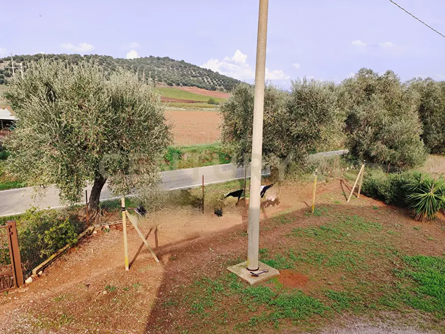 Immagine 21 di Rustico / casale in vendita  in Strada Pedemontana a Capalbio