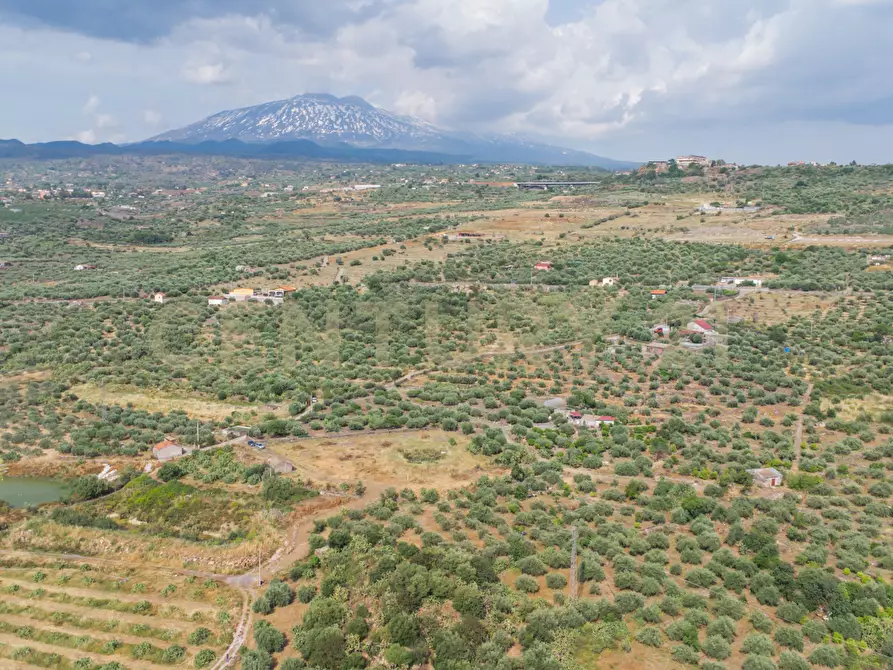 Immagine 23 di Terreno agricolo in vendita  in Via San Leo a Adrano