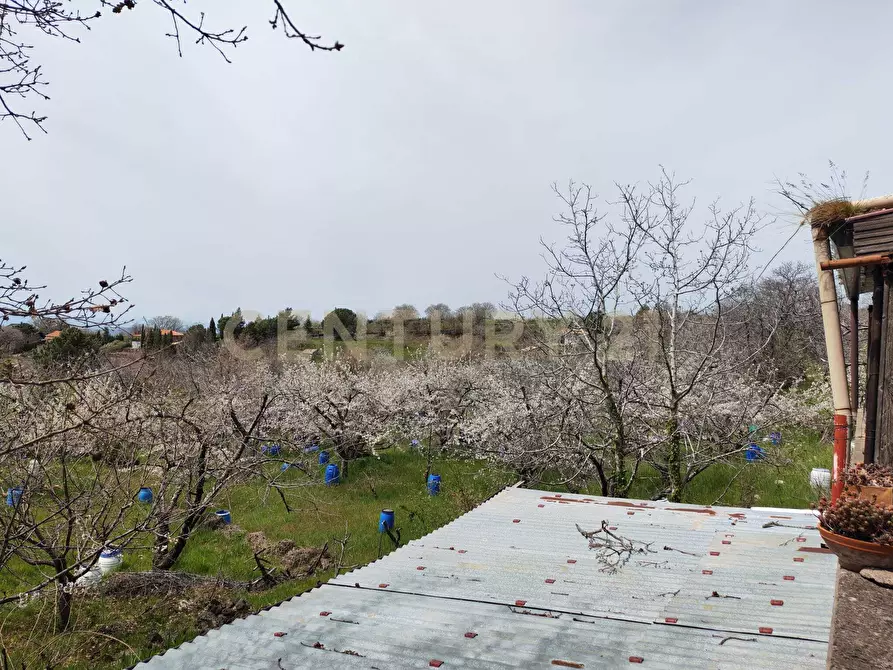 Immagine 28 di Terreno agricolo in vendita  in BIANCAVILLA a Catania