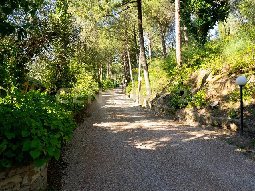 Immagine 93 di Rustico / casale in vendita  a Cinigiano
