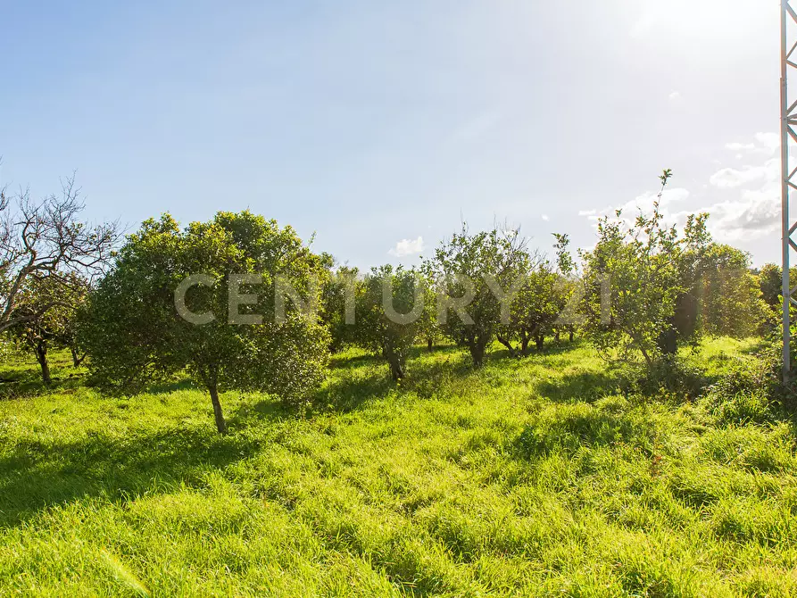 Immagine 18 di Terreno agricolo in vendita  in Via San Piero Patti 108 a Acireale