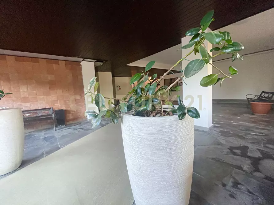 Immagine 15 di Bilocale in vendita  in Via Ss. Trinità 1 a Monte Argentario