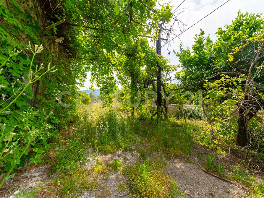 Immagine 38 di Rustico / casale in vendita  in Strada Provinciale 92 92 a Francofonte
