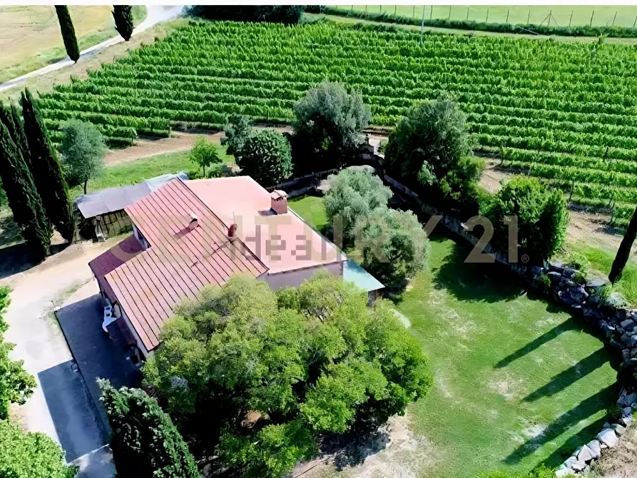 Immagine 6 di Rustico / casale in vendita  in località poggetto dell'orso snc a Roccastrada