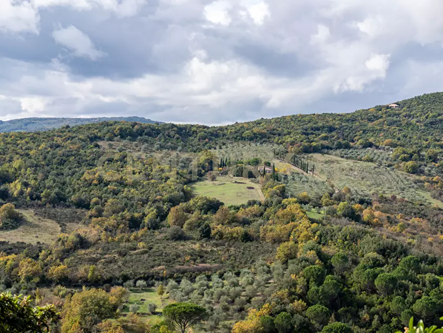 Immagine 69 di Trilocale in vendita  in Via delle Fornaci a Murlo