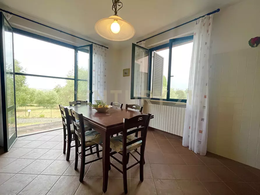 Immagine 14 di Azienda agricola in vendita  in località colle di lupo a Magliano In Toscana