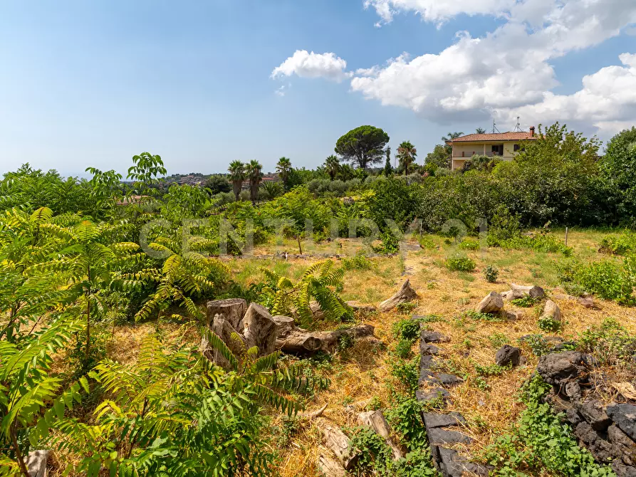 Immagine 11 di Villa in vendita  in Via Grazia Deledda 28 a Santa Venerina