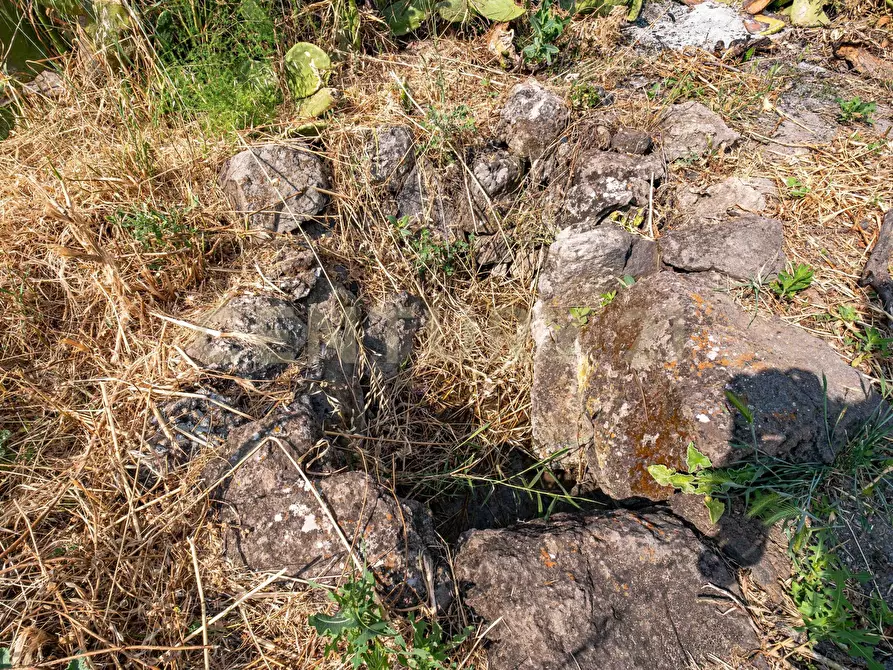 Immagine 48 di Terreno agricolo in vendita  in Via San Leo a Adrano