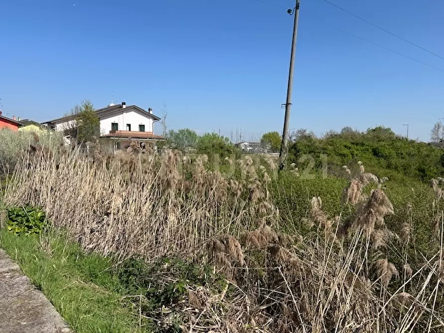 Immagine 4 di Terreno agricolo in vendita  in Via Prato Pelagal 43 a Bovolone
