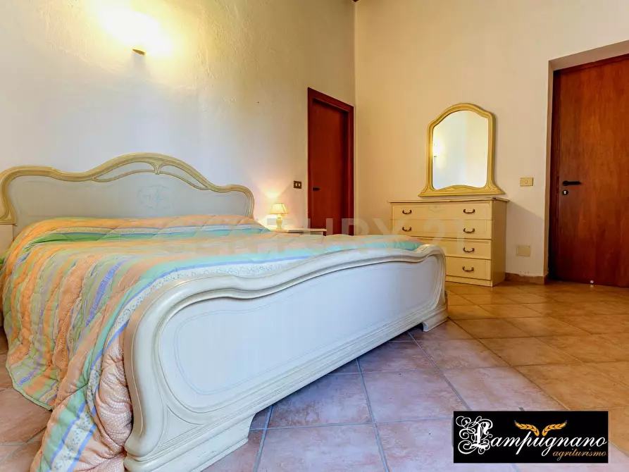 Immagine 38 di Rustico / casale in vendita  in agriturismo lampugnano 47 a Civitella Paganico