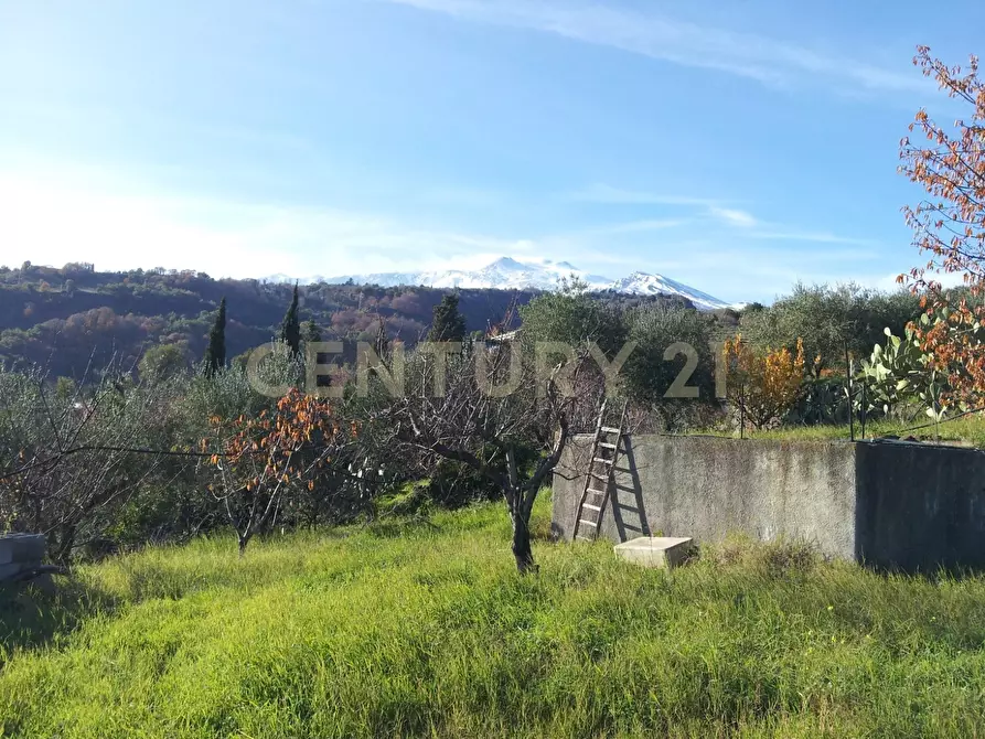 Immagine 26 di Casa bifamiliare in vendita  in Via del Santuario 26 a Giarre