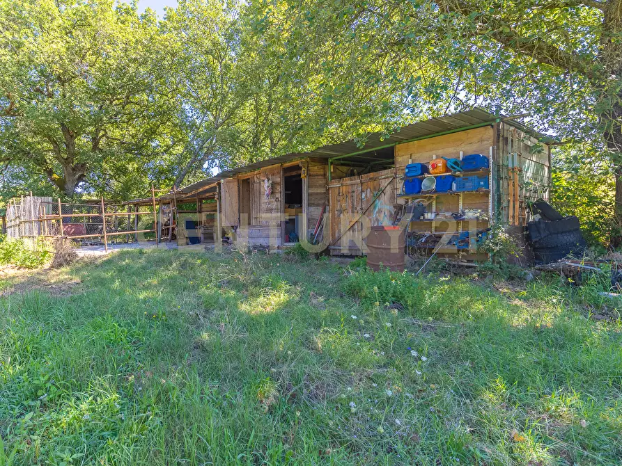 Immagine 24 di Rustico / casale in vendita  in località san quirichello a Barbarano Romano