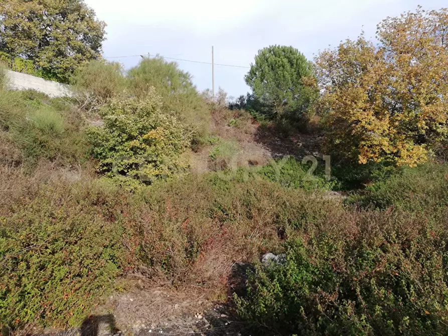Immagine 19 di Terreno edificabile in vendita  in Contrada Regala Regaridda a Nicolosi