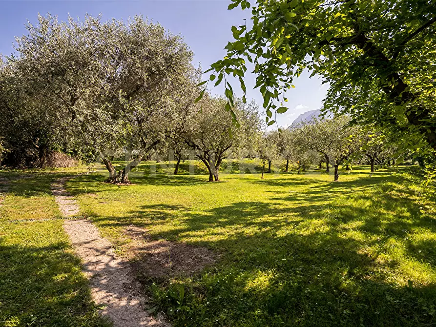 Immagine 144 di Villa in vendita  in Via Adige 25 a Brentino Belluno