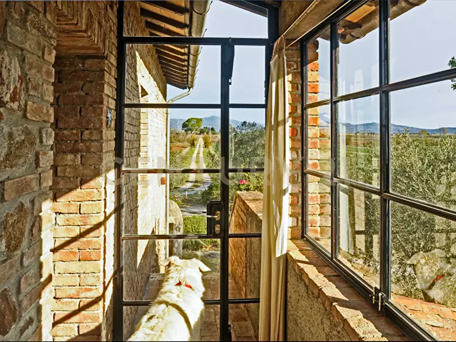 Immagine 36 di Rustico / casale in vendita  in località podere dogana a Roccastrada