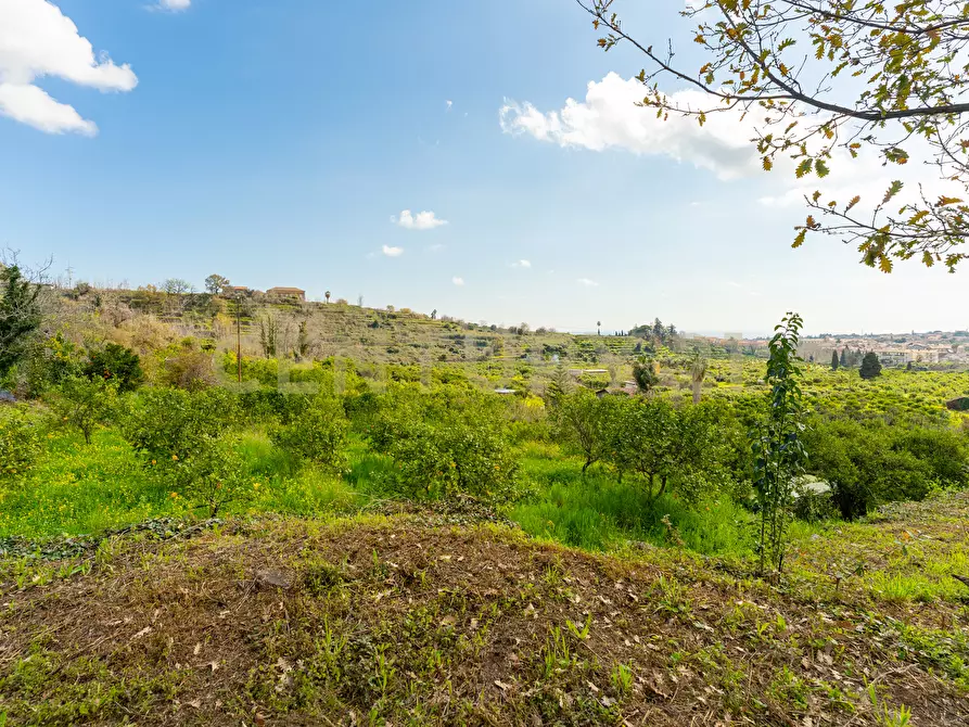 Immagine 17 di Terreno agricolo in vendita  in via giuseppe zinghirino 1 a Giarre
