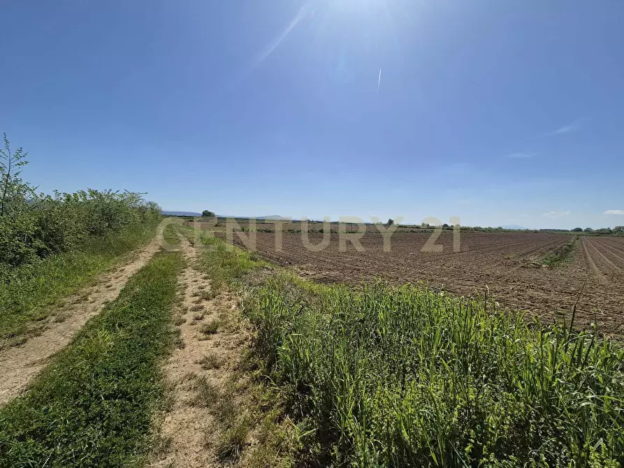 Immagine 3 di Terreno agricolo in vendita  in loc. Badia Vecchia a Castiglione Della Pescaia
