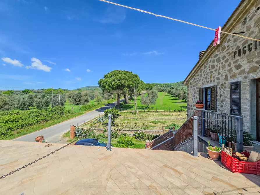 Immagine 8 di Casa indipendente in vendita  in località podere poggio sellino snc a Semproniano