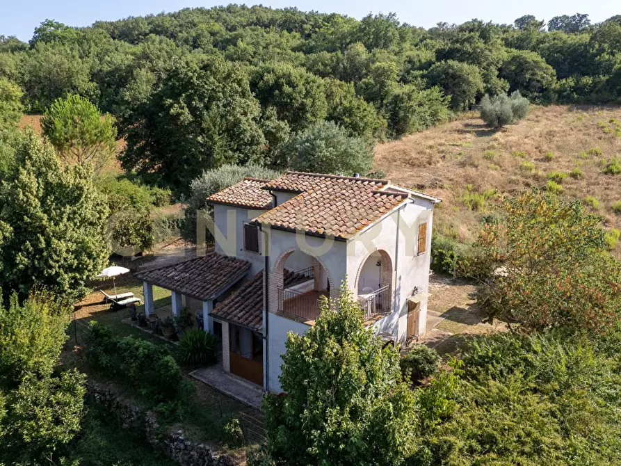 Immagine 1 di Villa in vendita  in localtà poderi di montemerano snc a Manciano