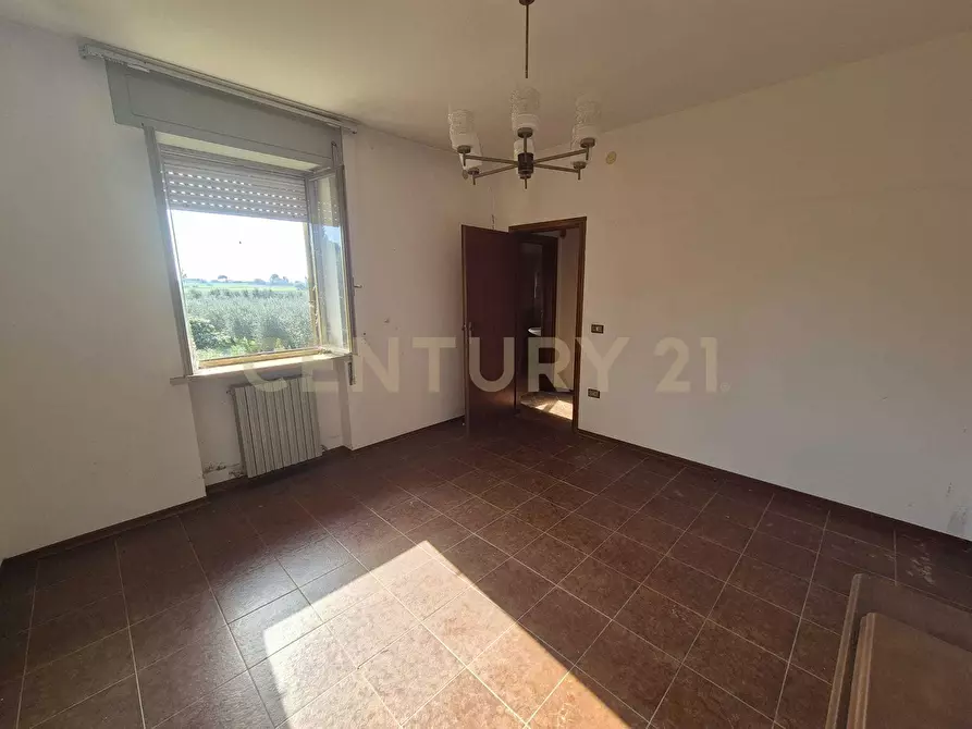 Immagine 9 di Rustico / casale in vendita  in Via Luciano Raveggi 6 a Orbetello