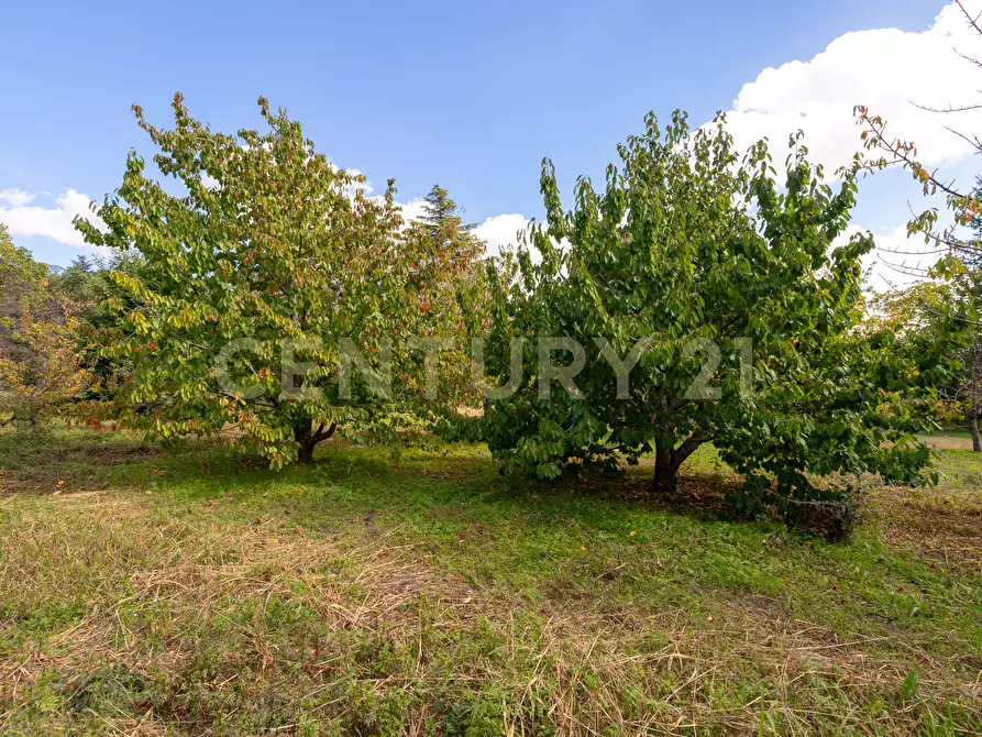 Immagine 26 di Villa in vendita  in Contrada Scolaro Cisterna a Adrano