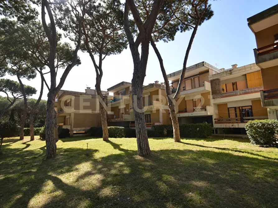 Immagine 4 di Quadrilocale in vendita  a Castiglione Della Pescaia