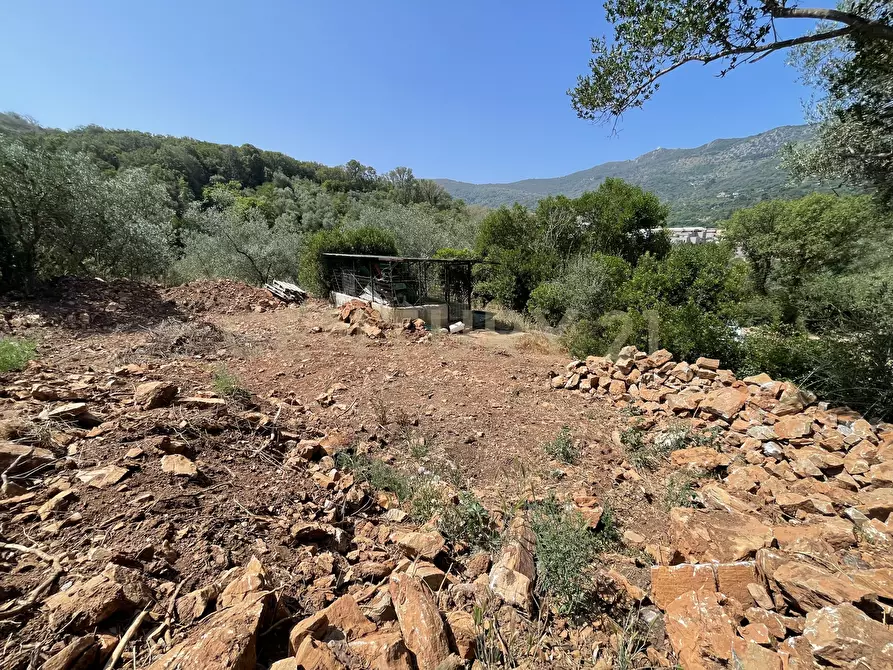 Immagine 7 di Rustico / casale in vendita  in località cannatelli snc a Monte Argentario